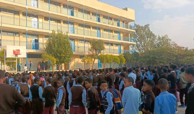ኣብ ቀዳማይ ደረጃ ቤት ትምህርቲ ኒኮላስ ብዛዕባ ሩማቲክ ሕማም ልቢ ዝተዋህበ ትምህርቲ