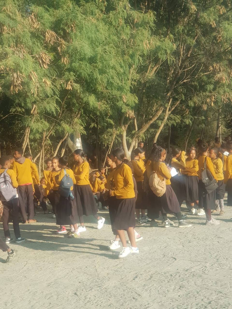 students awarenss on rheumatic heart disease (3) Source: PrevRHD Ethiopia program